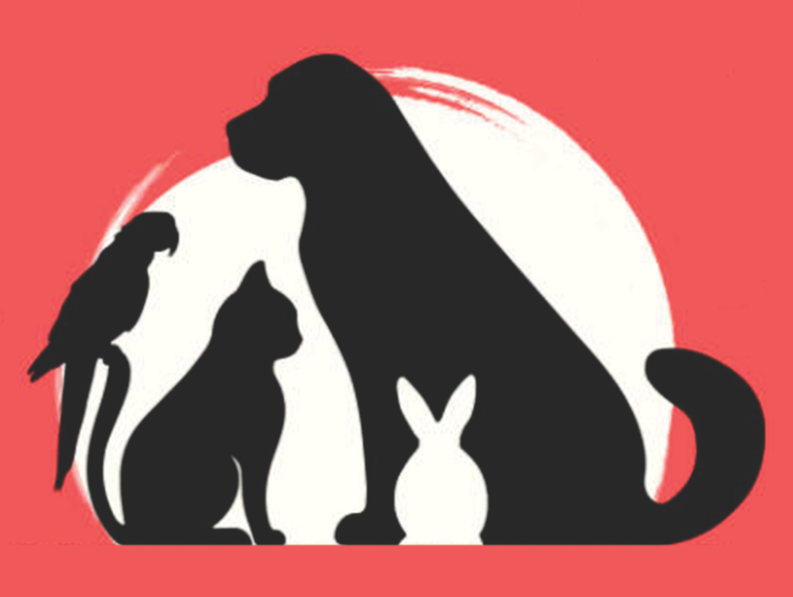 Barnhouse Pet Sitting, LLC