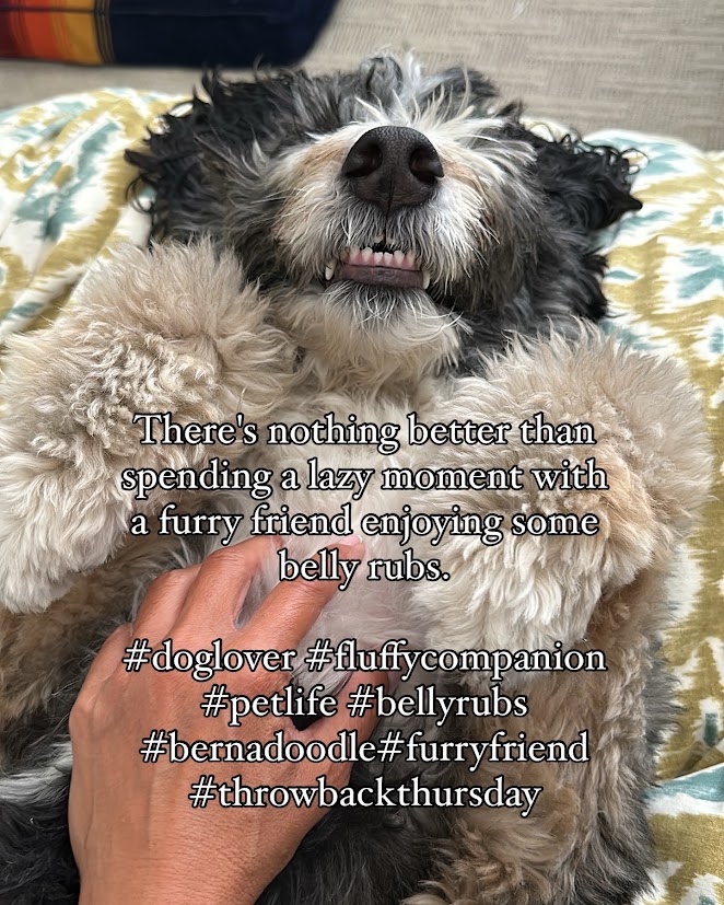  48