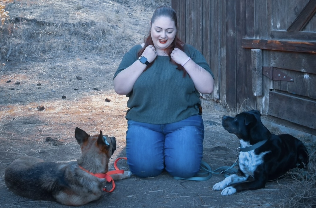 Four Paws Pet Sitting