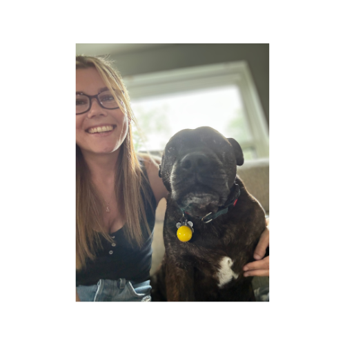Happy Wags Pet Sitting Service LLC