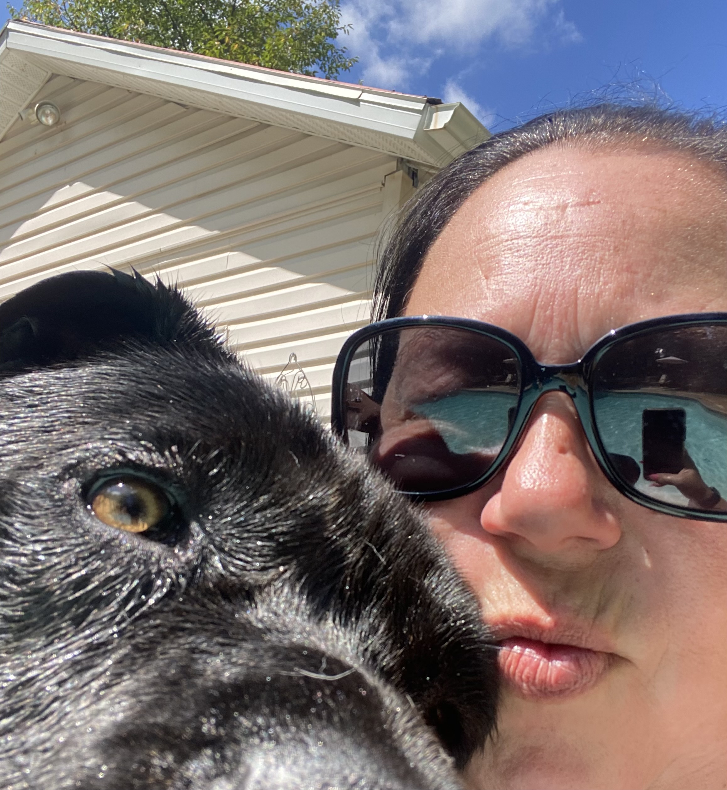 Shannon’s Pet Sitting & Dog Training LLC