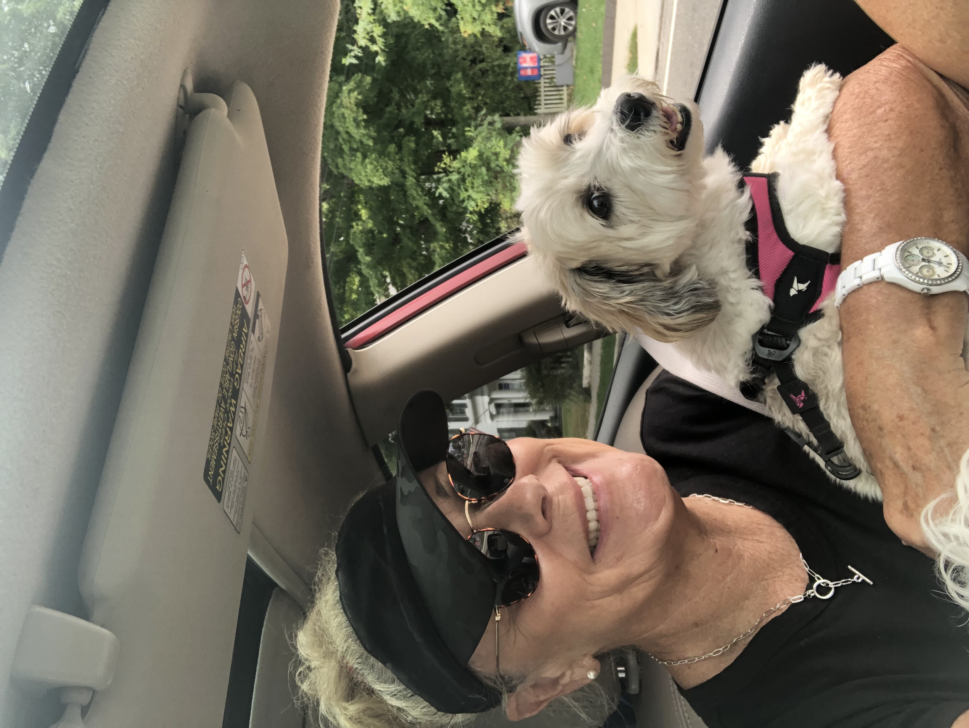 All About The Dog Pet Sitter