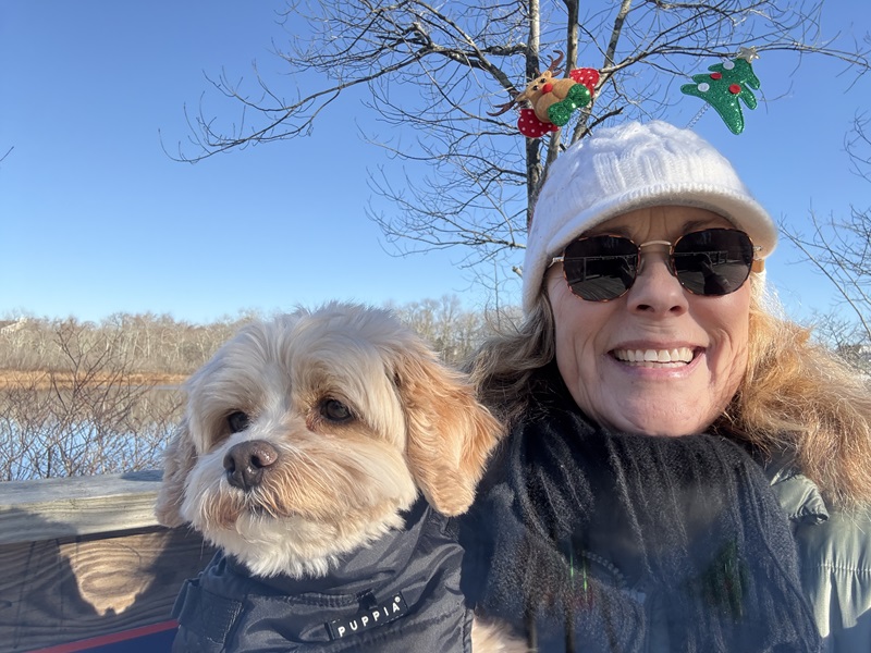 All About The Dog Pet Sitter