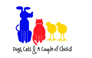 Dogs, Cats & a Couple of Chicks
