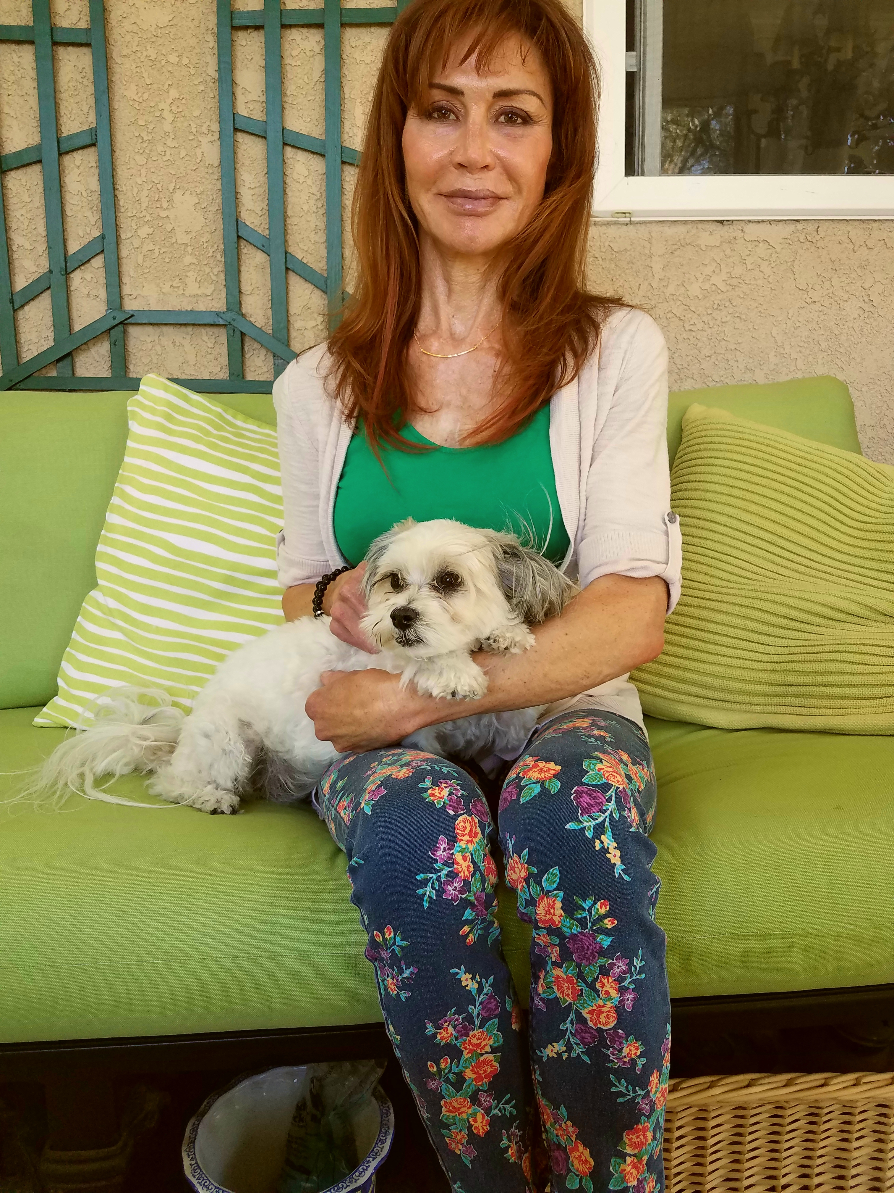 cheryls pet care dog sitt