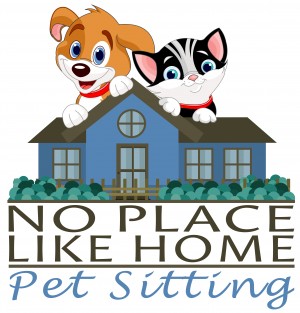 At home pet cheap sitting