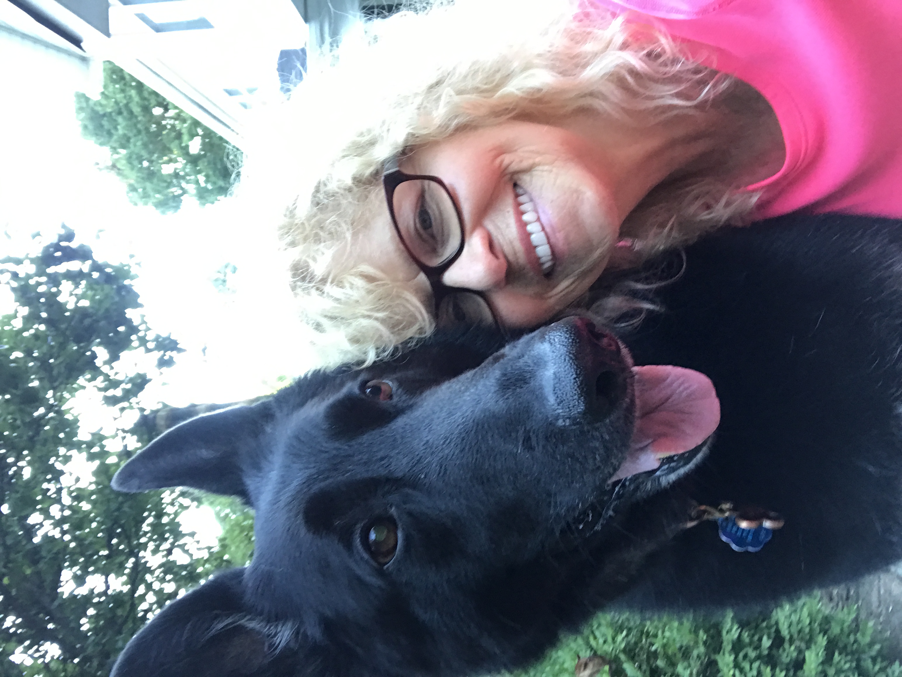 Famous Feet Pet Sitting & Dog Walking