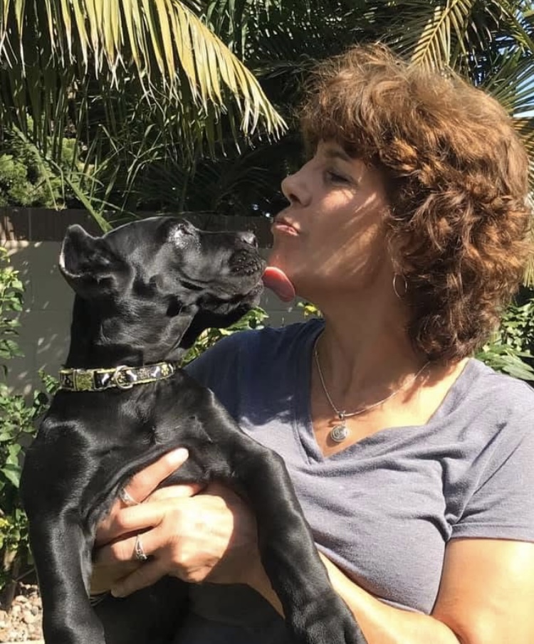 PoochaNanny Pet & House Sitting Service