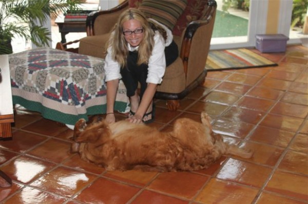Pet Sitters Boynton Beach Fl Pet Sitters Boynton Beach Fl