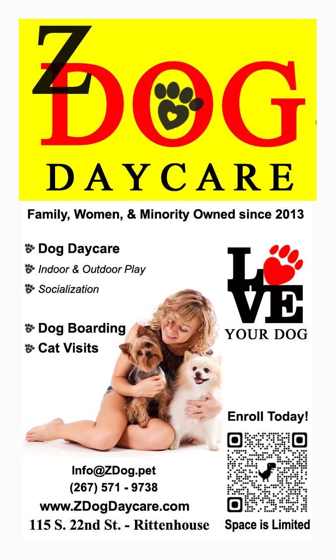 Z Dog Daycare: Philly's Pet Care