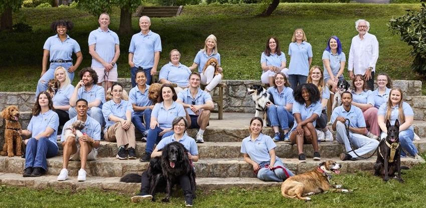 Buckhead Paws Dog Walking and Pet Sitting Services of Atlanta