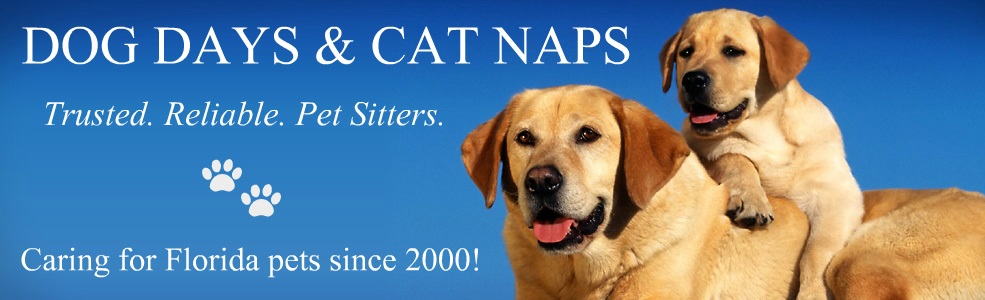 Dog Days & Cat Naps, LLC