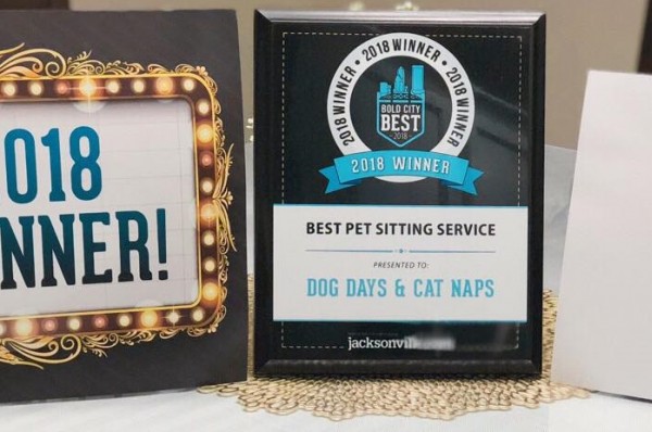 Dog Days Cat Naps Llc