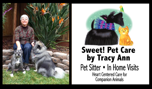 pet home visits near me