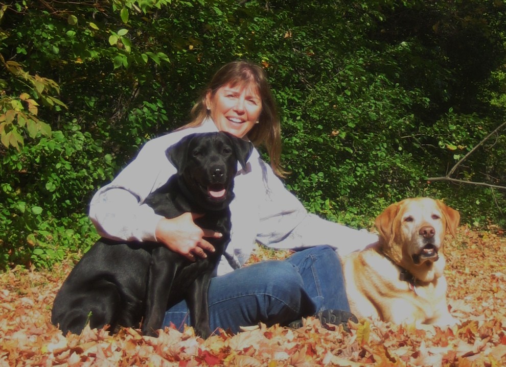 More Than Just A Petsitter