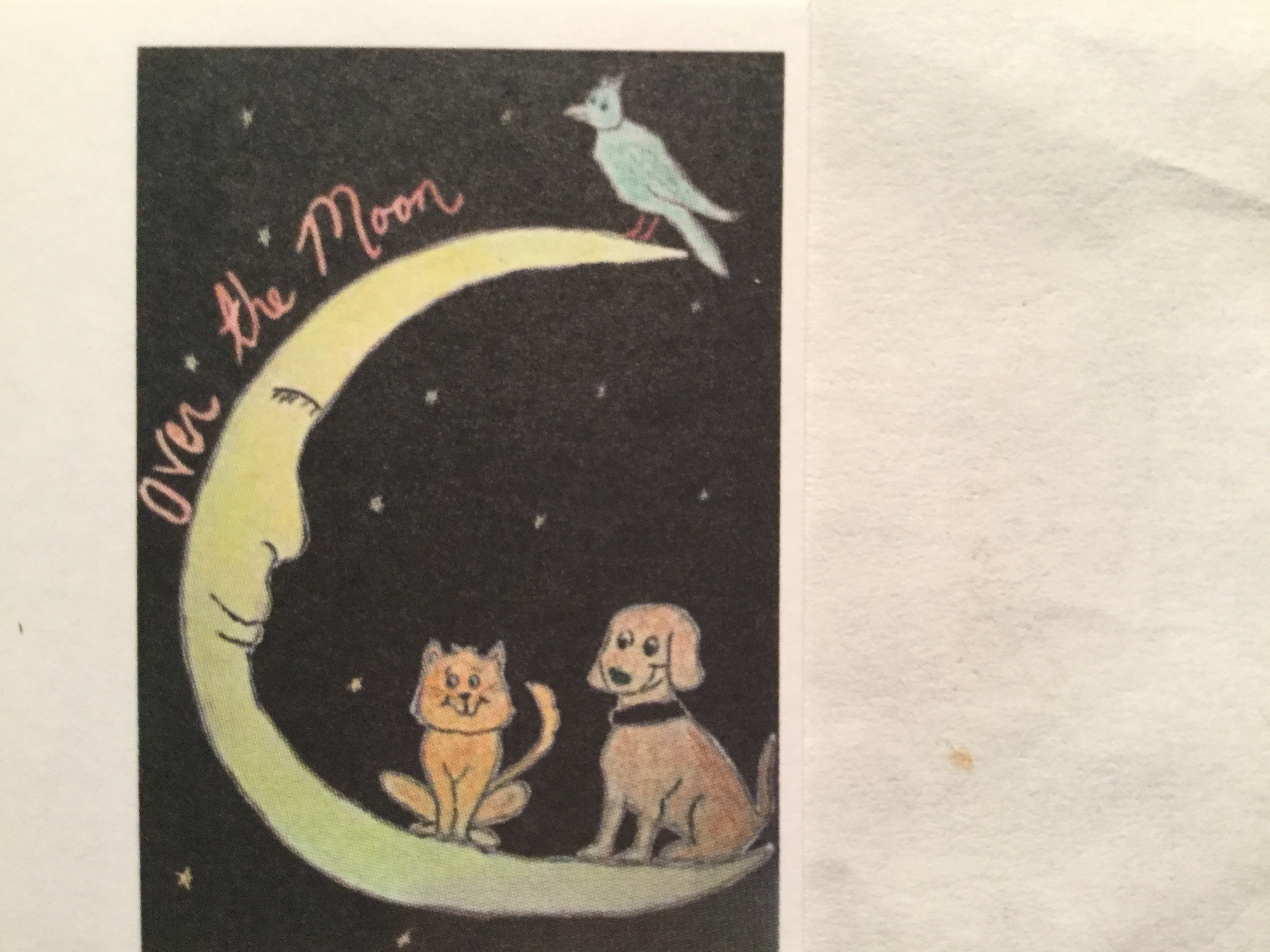 Over the Moon Pet Sitting