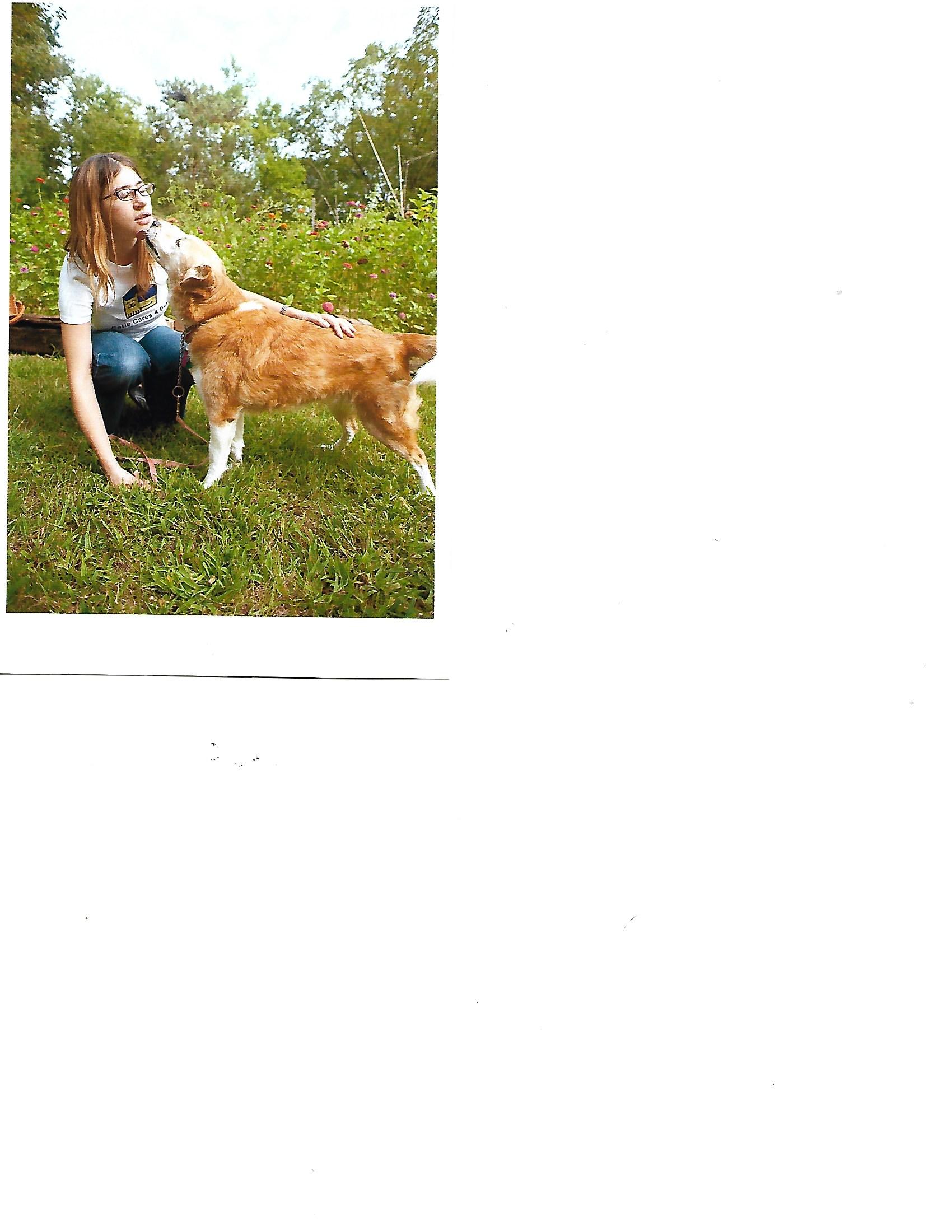 Catie Cares 4 Pets
