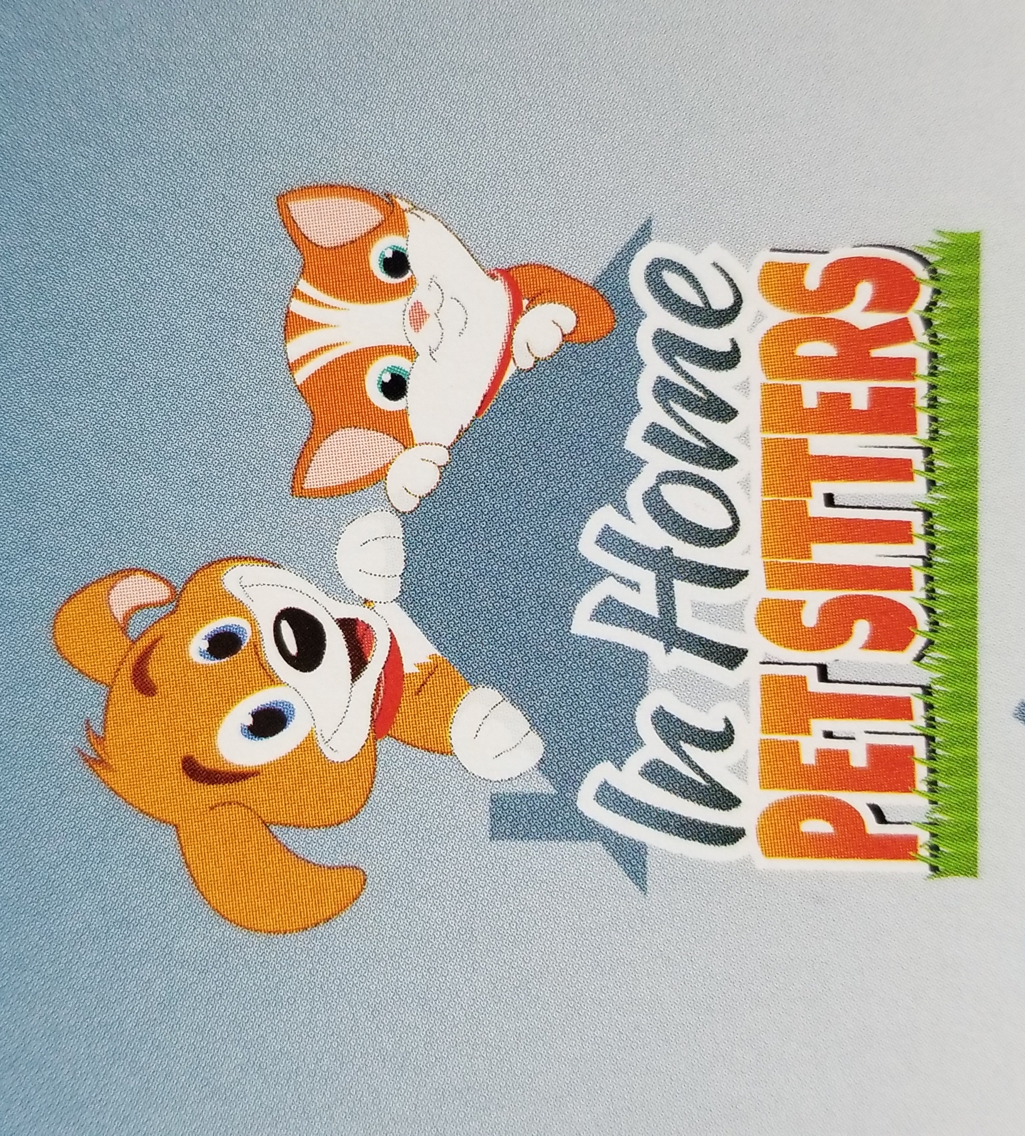 In Home Pet Sitters