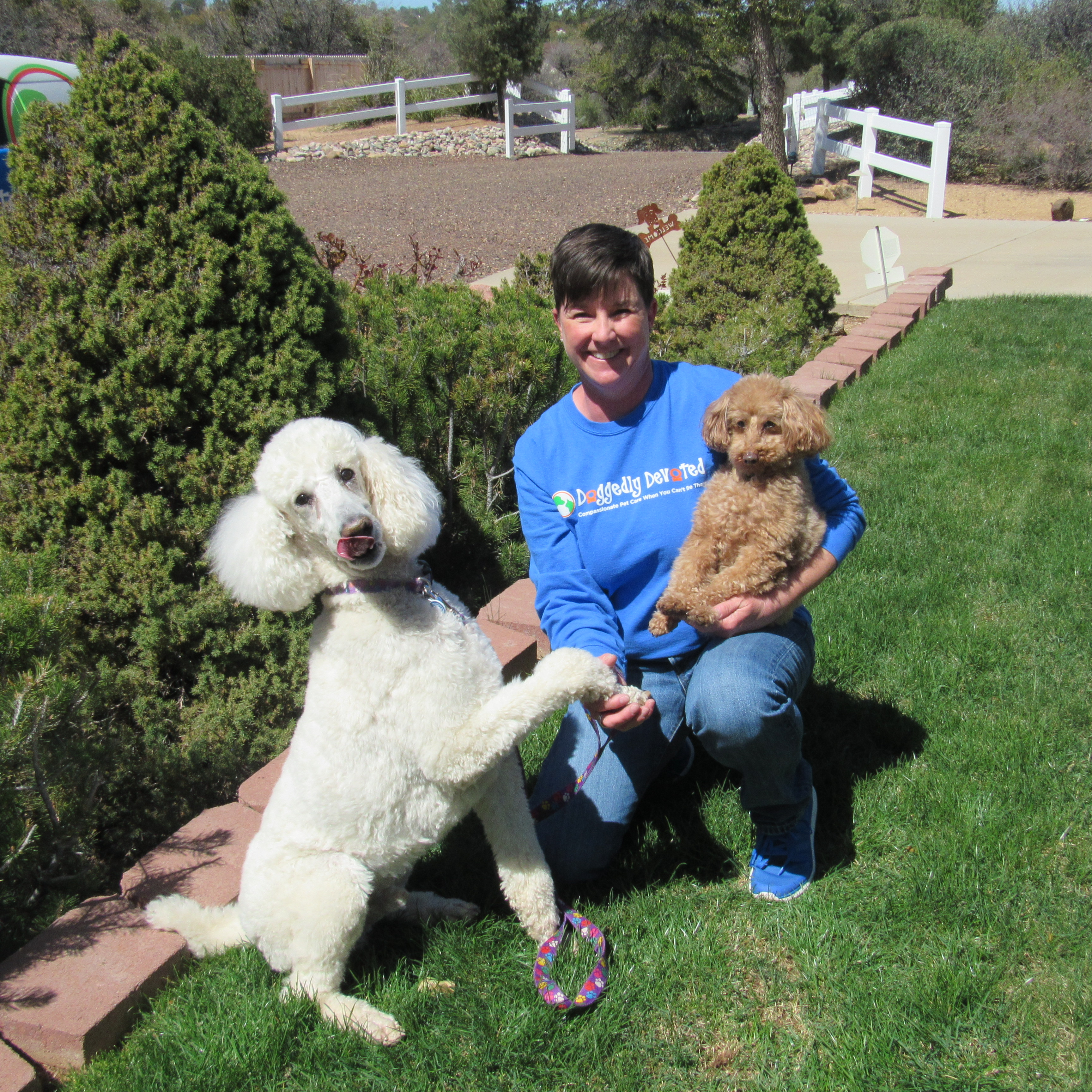 Doggedly Devoted