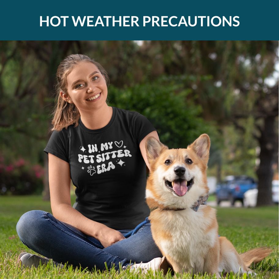 Hot weather precautions for pet sitters and dog walkers