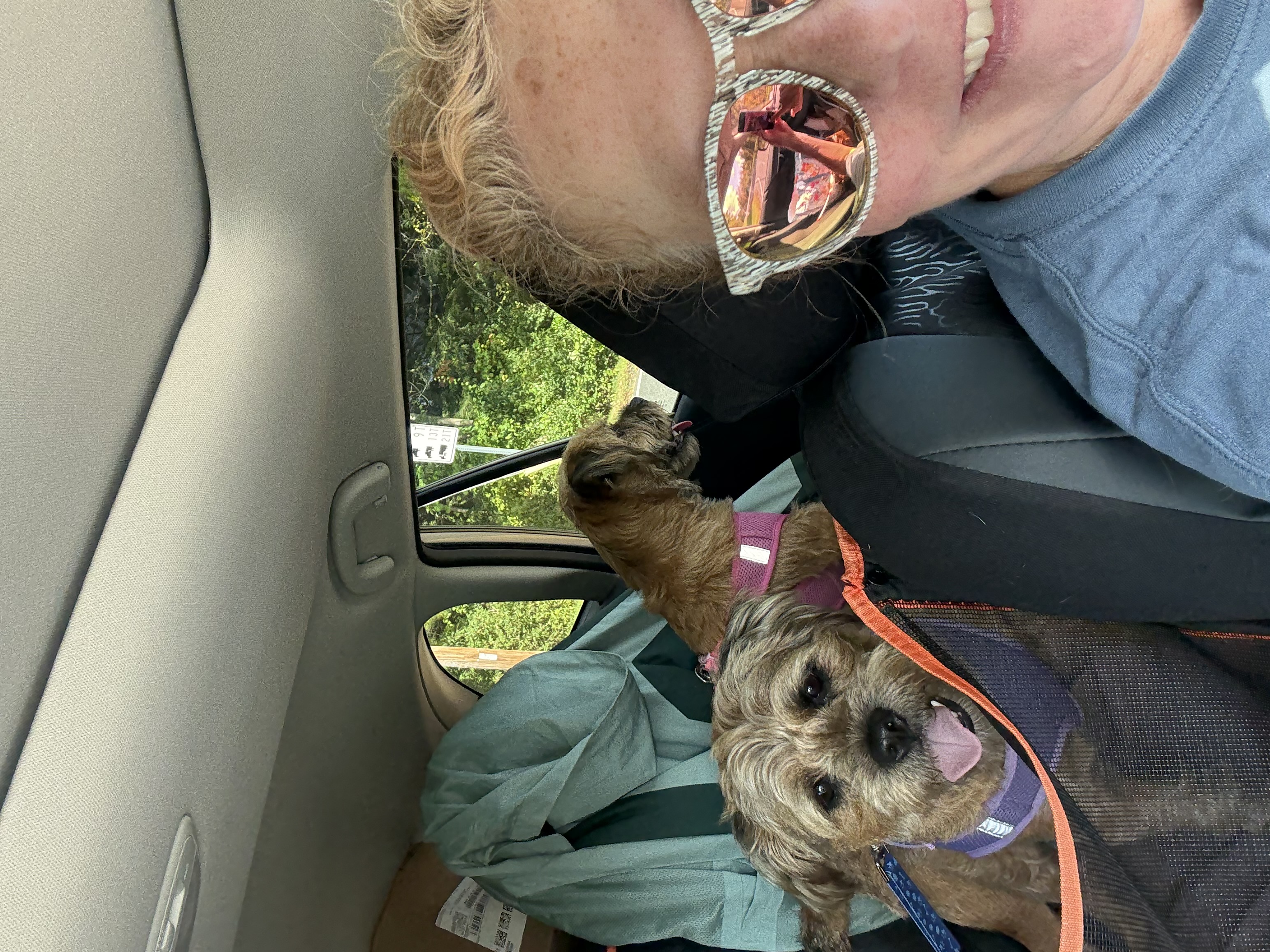 All Kind Pet Sitting Services