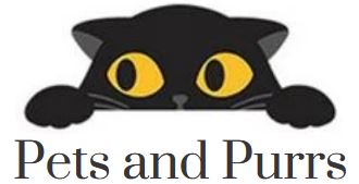 Pets and Purrs