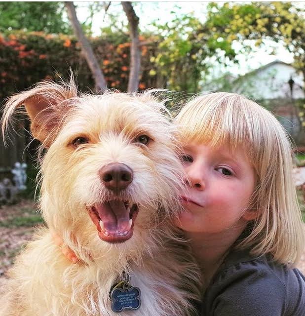 Hound for Hound Pet Sitting and  Dog Walking