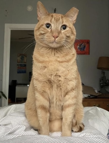  19