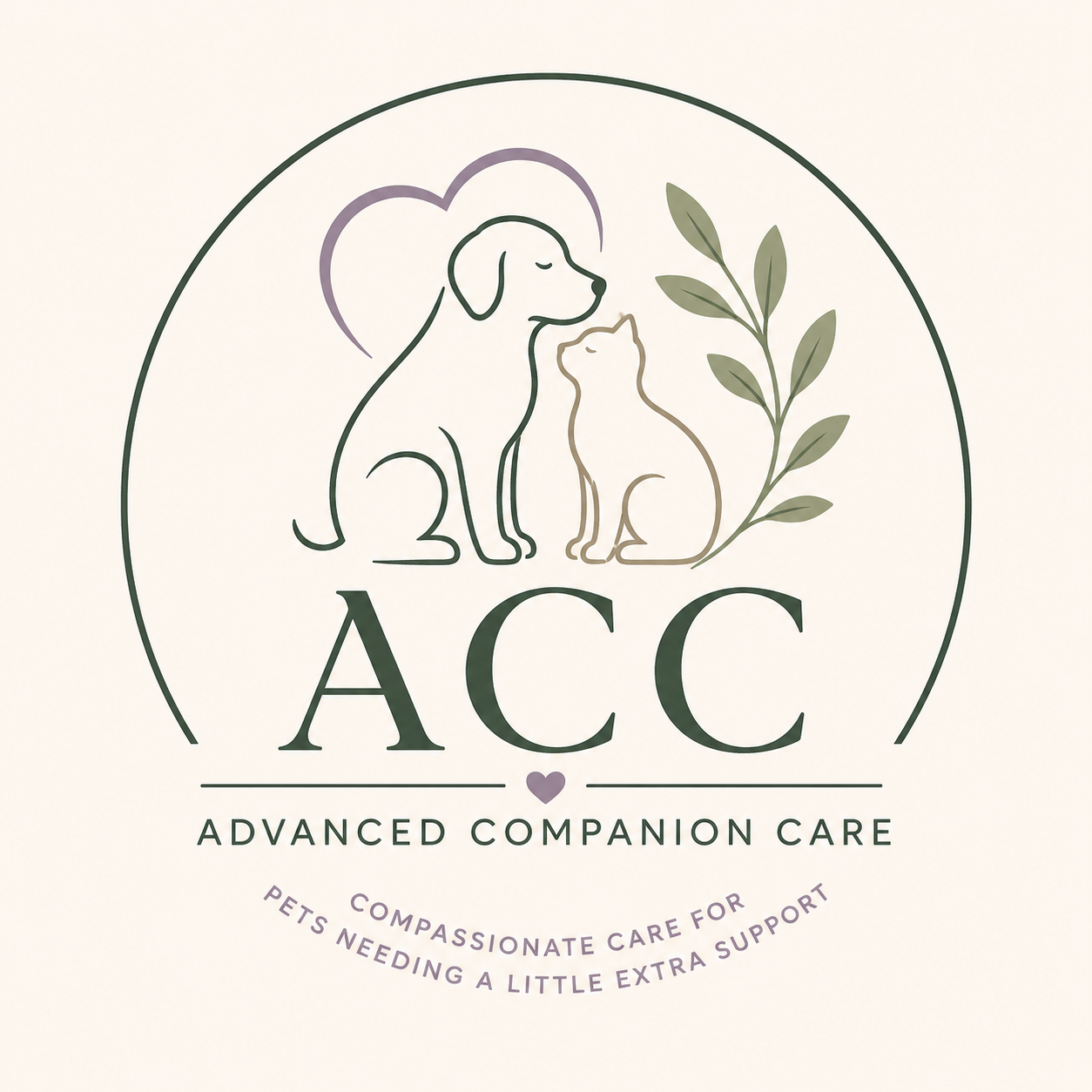 Advanced companion care
