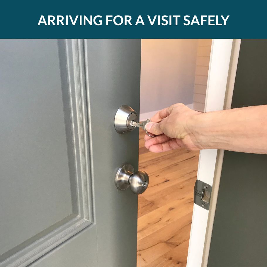 Arriving Safely for a Pet-Sitting Visit