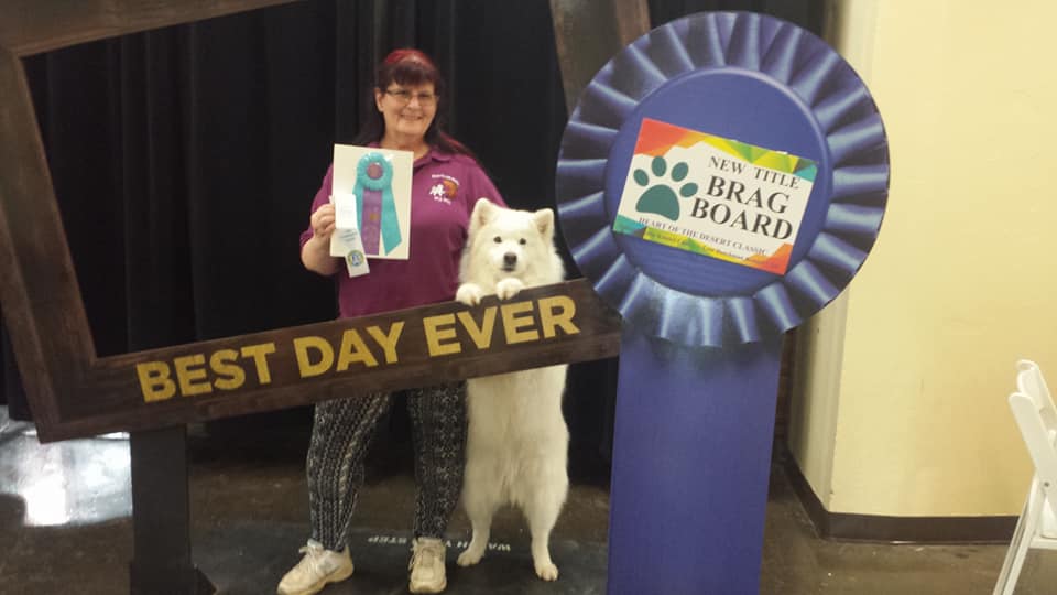 Creature Comforts Pet Care