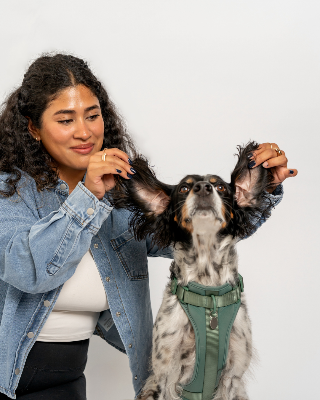 With Love Pet Care LLC