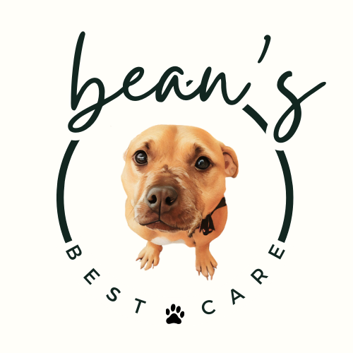 Bean’s Best Care - Positive Reinforcement Pet Care