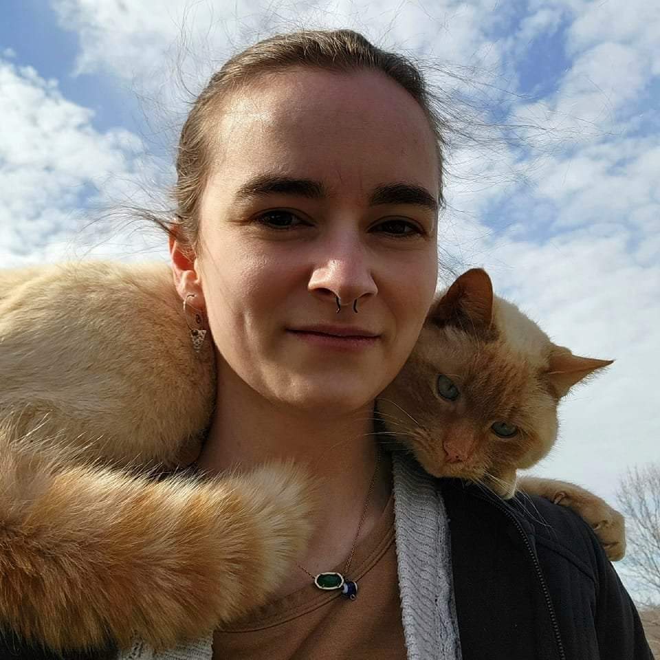 Btown Whisker Watcher