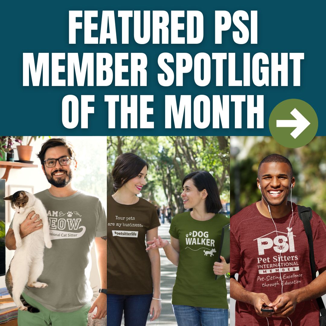 Member Spotlight