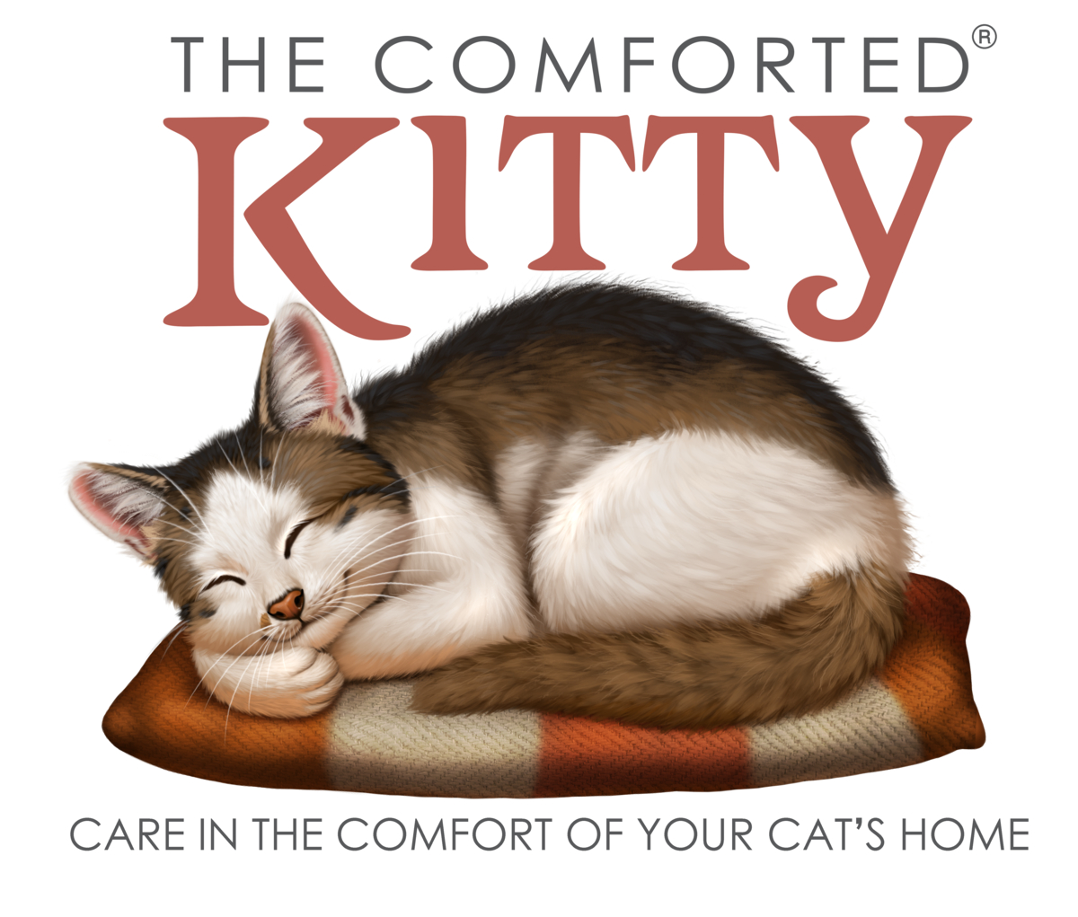 The Comforted Kitty Cat Sitting
