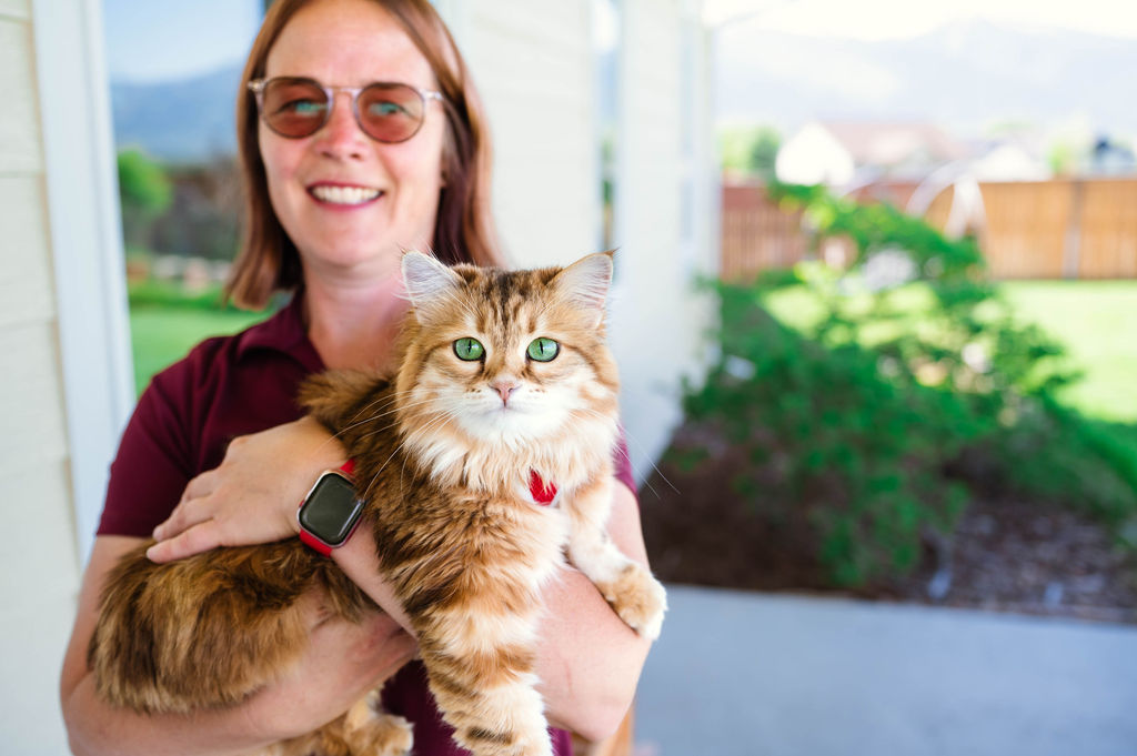 Waggy Walks Playful Purrs, LLC