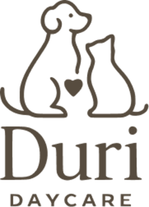 Duri Daycare