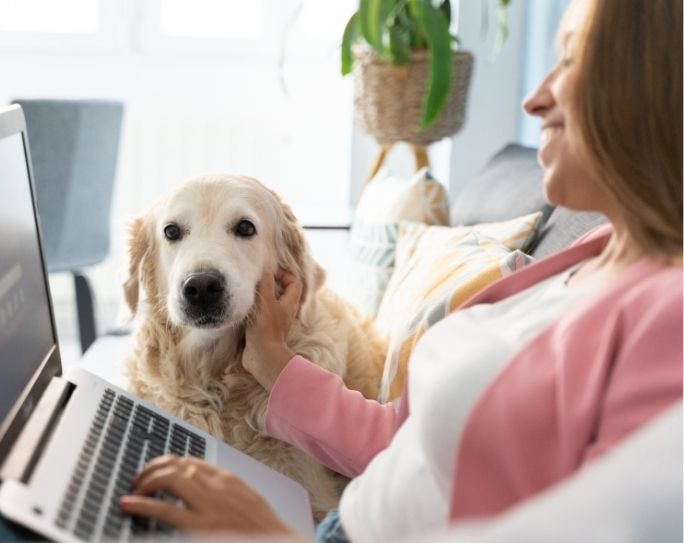 Professional Pet-Sitting Industry Celebrates 11th Annual Pet-Sitter Education Month™