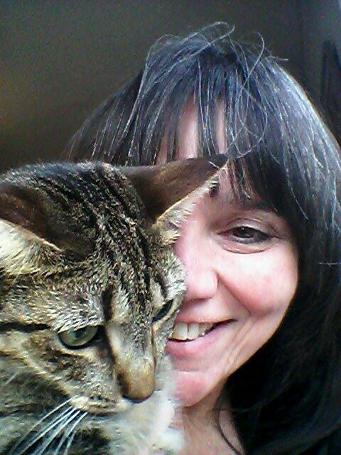 THE WEST VILLAGE CAT SITTER AND MANHATTAN KITTIES LLC