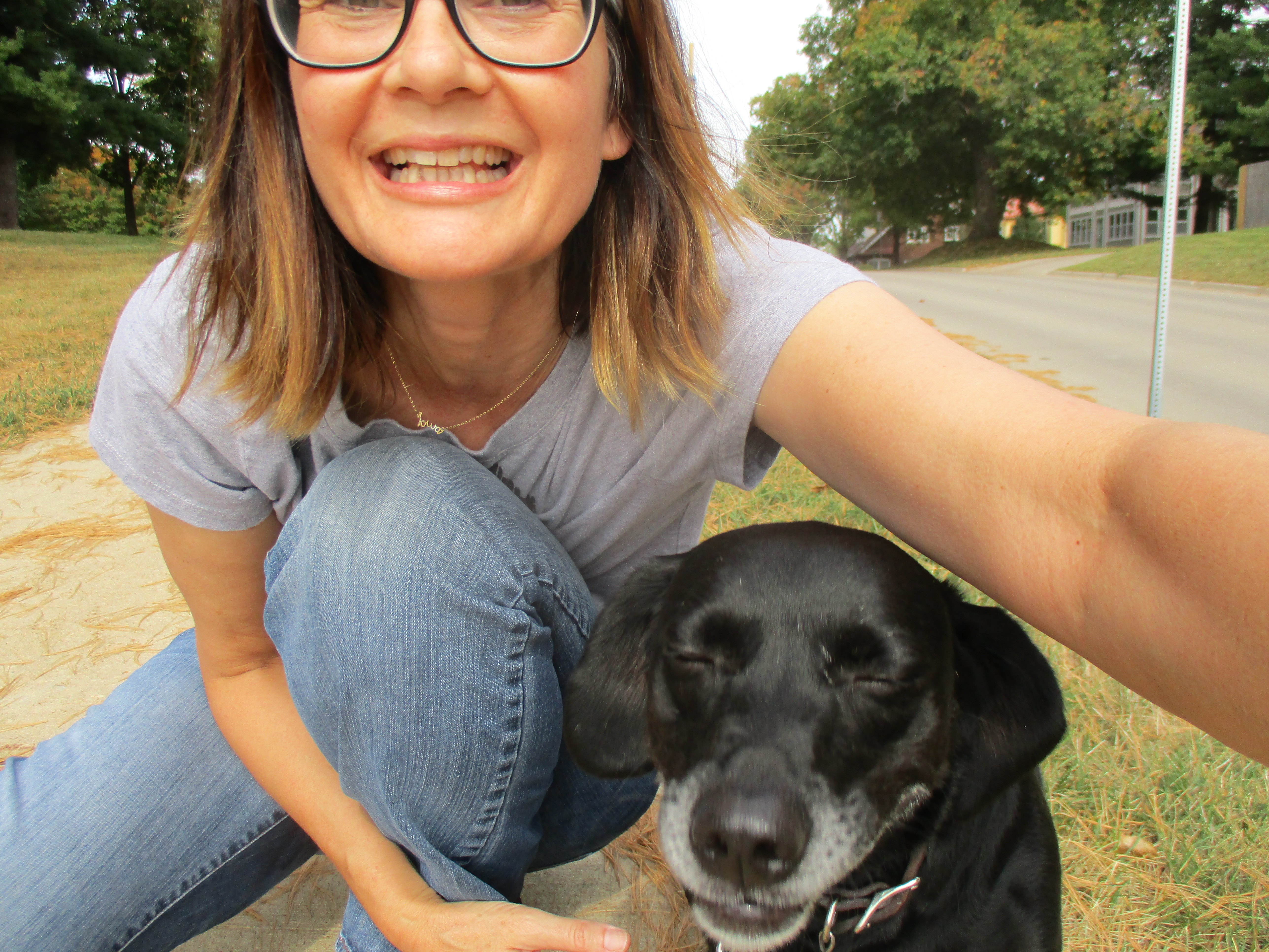 The Pet Nanny Of Mount Vernon