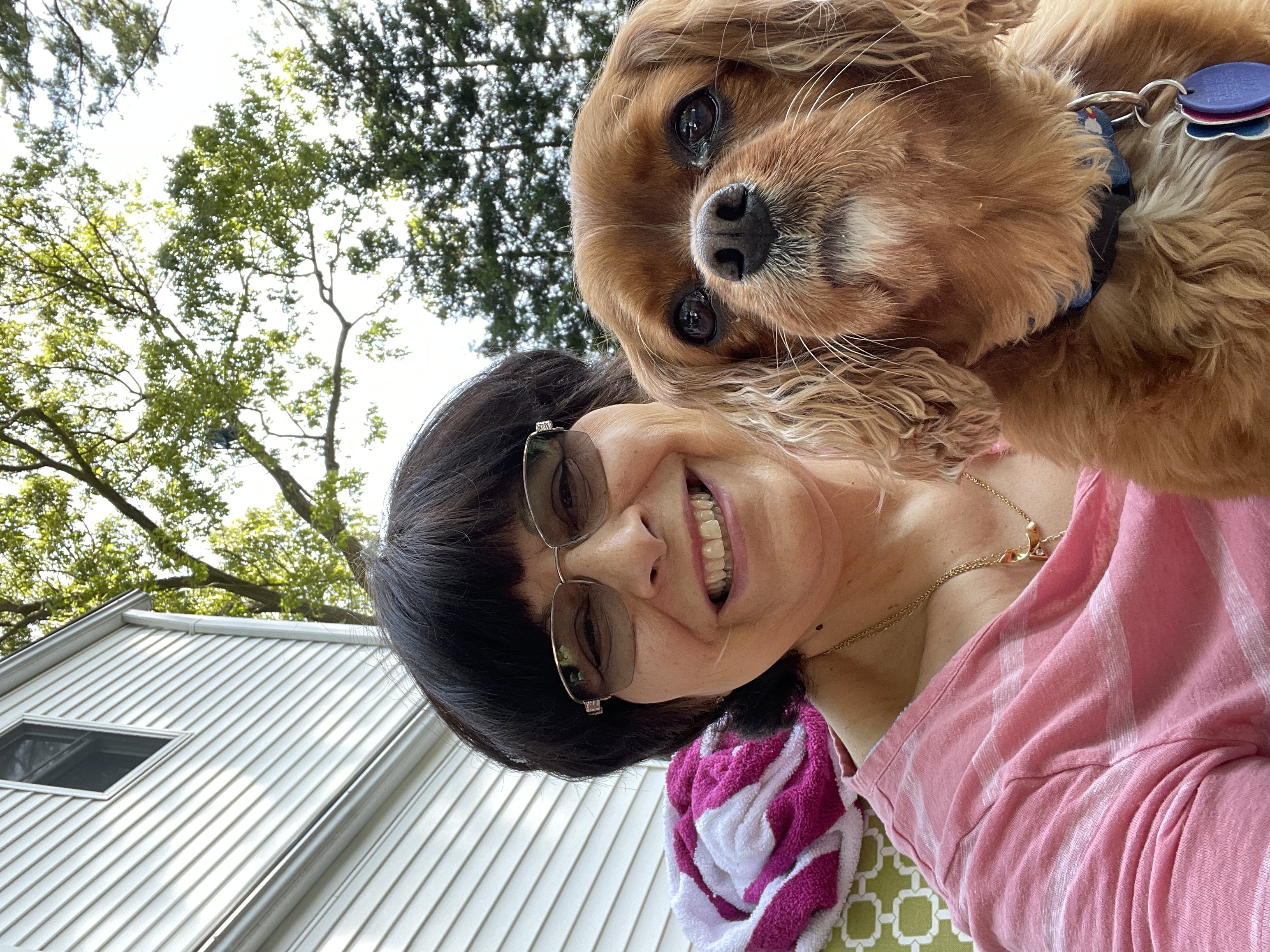 Furry Friends Petsitters at Your Service
