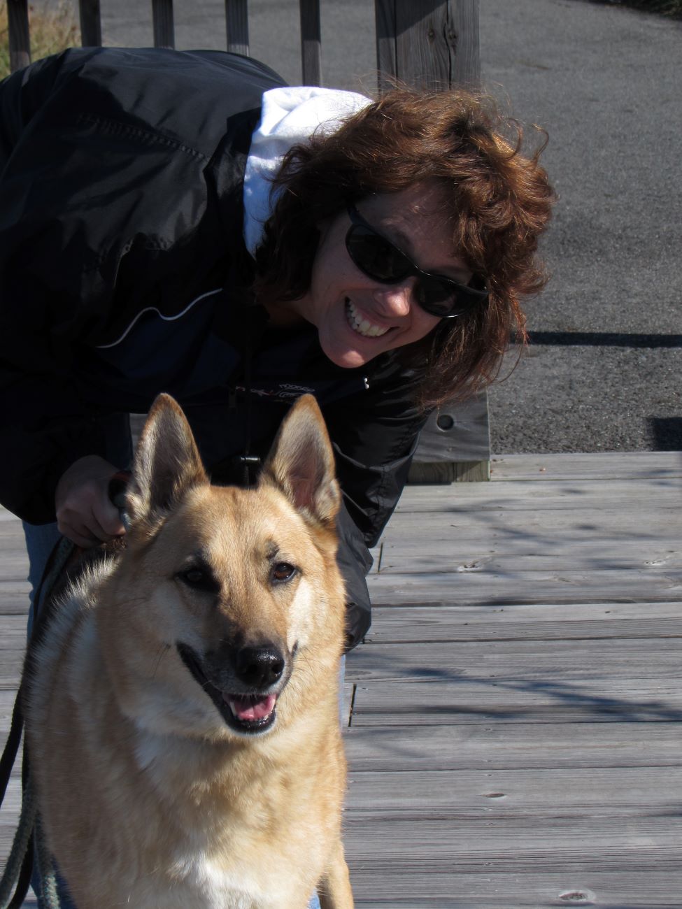 Maximus & Me Dog Walking Service & More