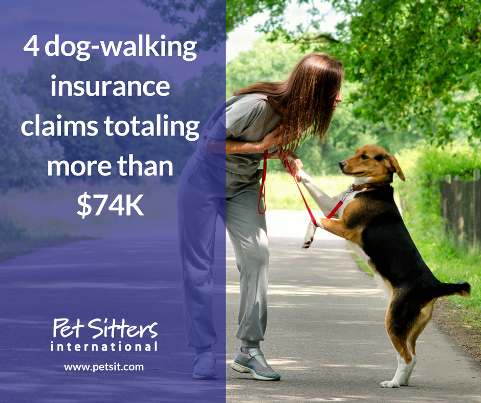 4 dog-walking insurance claims totaling more than 74K