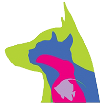 Dendy Pet Care