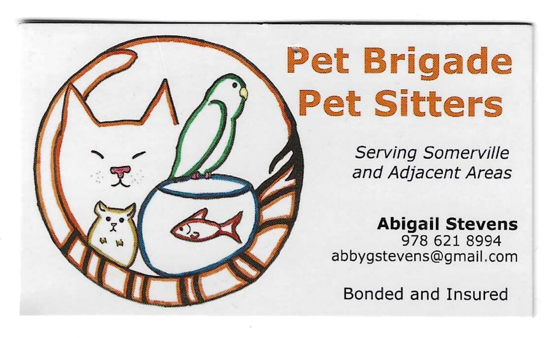 Pet Brigade Pet Sitting