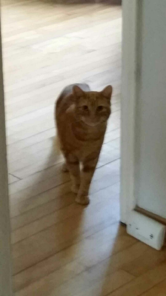  191