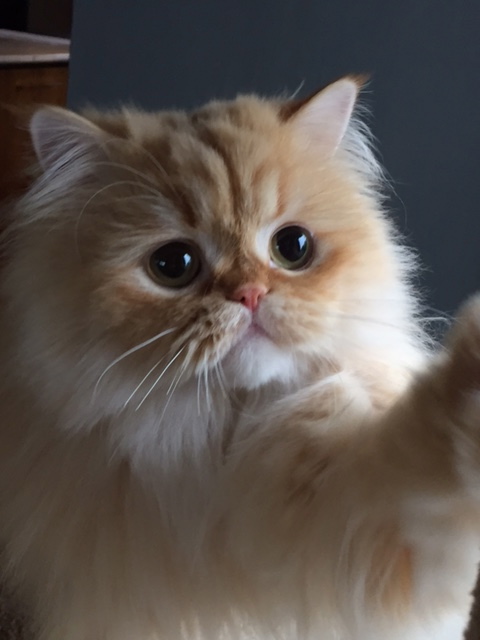  132