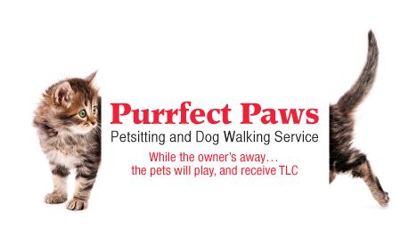 Field Days Dog Walking Llc Field Days Dog Walking Llc