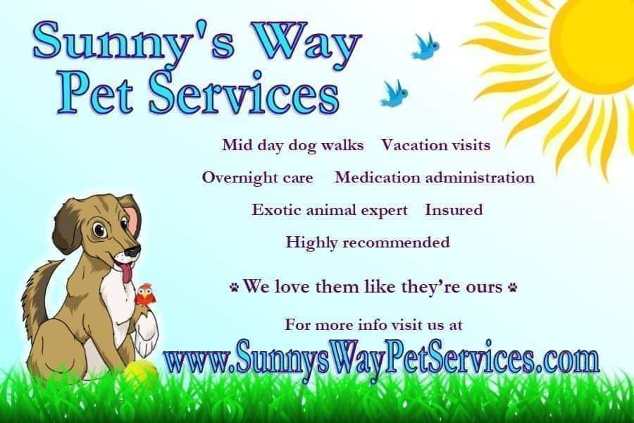 Pet Sitters Near Me Overnight / The 10 Best Pet Sitters In Everett Wa